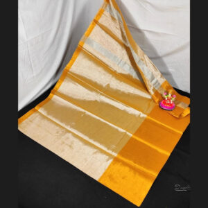 Plain Silver White Tissue Saree | Large Gold Border