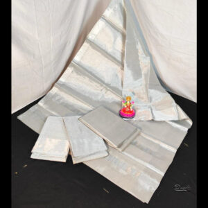 Plain Silver White Tissue Saree | Small Silver Border