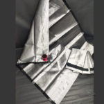 Plain Silver Tissue Saree | Small Black Border